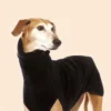 Greyhound Clothes, Dog Winter Coat Pajamas Onesies Turtleneck Stretch Greyhound Apparel Pet Clothes Coat Outfit for Medium, Lar